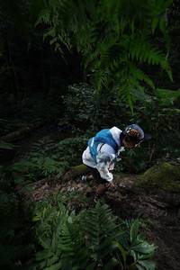 BIB: 
                            <button type="button" onclick="openModal(16030341)" class="btn btn-primary btn-sm float-right btn-popup" data-toggle="modal" data-target=".modal-high-quality">
                        <i class="fas fa-shopping-cart"></i> Add to Cart
                    </button>
                                            <button type="button" onclick="isThisMe(16030341, true)" class="btn btn-success btn-sm float-right btn-popup btn-isme hidden" data-toggle="tooltip" data-placement="bottom" title="นี่คือรูปของคุณใช่ไหม คลิกที่นี่เพื่อเอาเข้าอัลบั้ม">
                        <i class="fas fa-plus"></i> Add to album
                    </button>
                    <button type="button" onclick="isThisMe(16030341, false)" class="btn btn-warning btn-sm float-right btn-popup btn-isnotme hidden">
                        <i class="fas fa-ban"></i> Remove from album
                    </button>